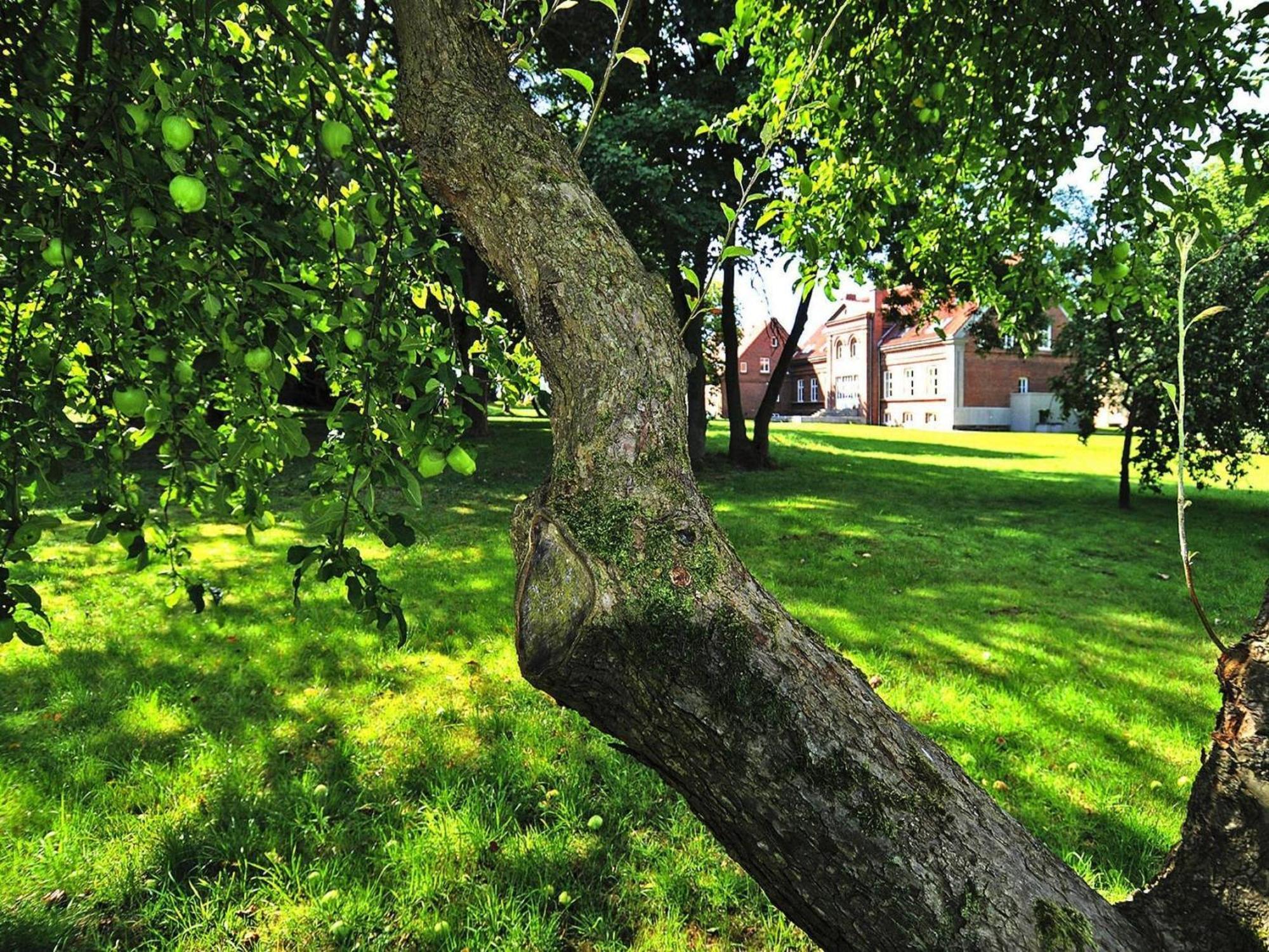 Apartment In Garz With Garden Zewnętrze zdjęcie